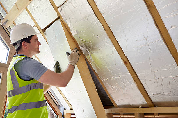 Best Garage Insulation Installation  in Rising Sun, MD